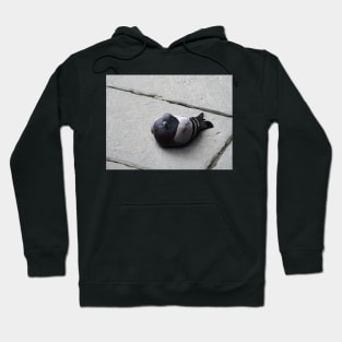 Majestic pigeon resting Hoodie